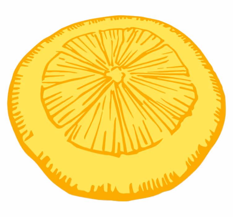 Yellow citrus slice kitchen vinyl rug - TenStickers