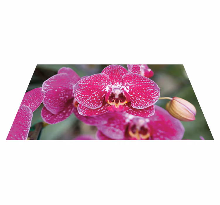 Vibrant Orchid Blooms flower vinyl rug - TenStickers