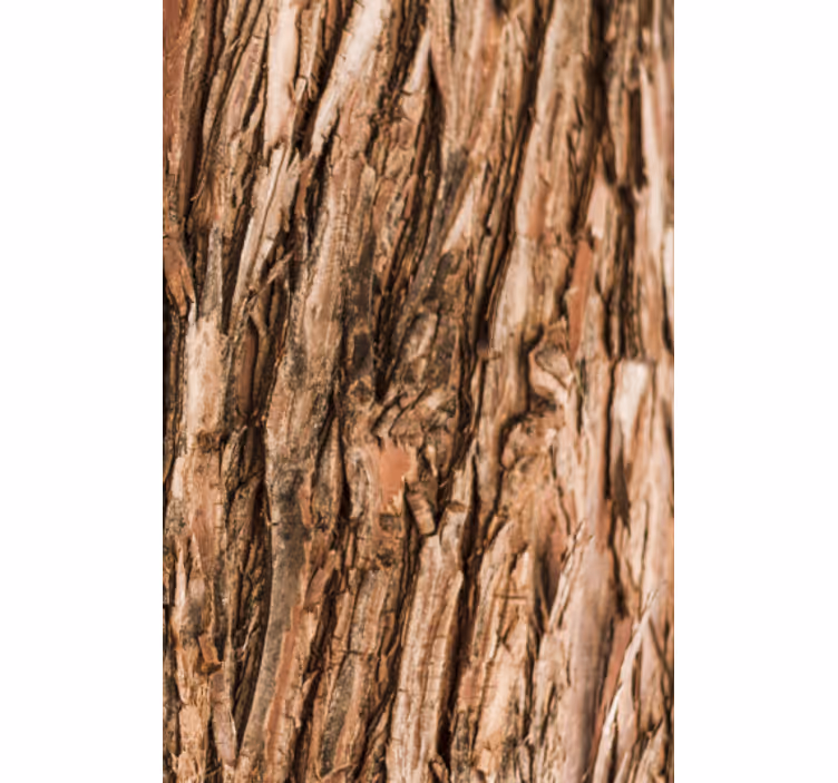 Living room wallpaper tree bark texture design - TenStickers