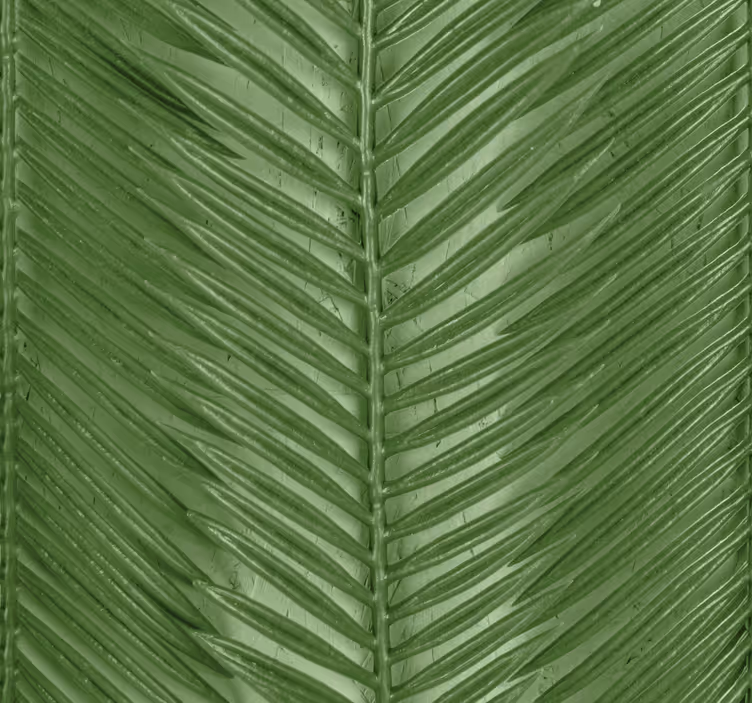 Modern tropical stripes  Modern Wallpaper - TenStickers
