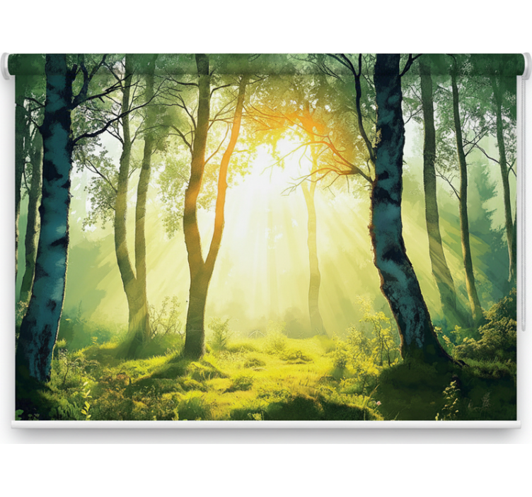 Tree roller blind sun-drenched birch mural - TenStickers
