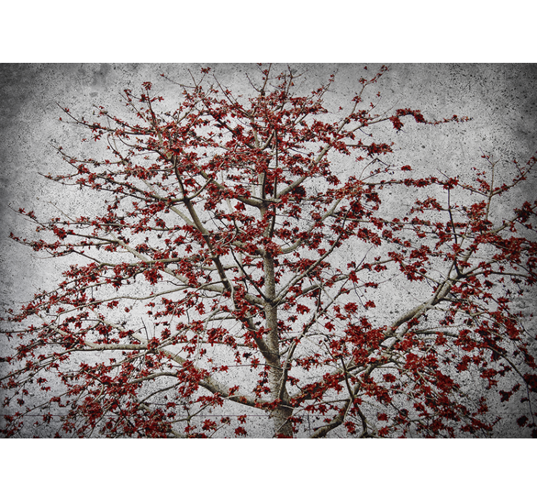 Kitchen roller blind minimalistic tree with red flowers - TenStickers