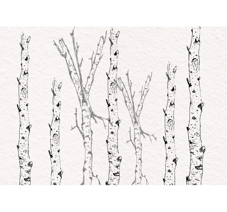 White roller blind birch stems - TenStickers