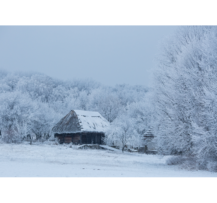 White roller blind for a serene snowy courtyard - TenStickers