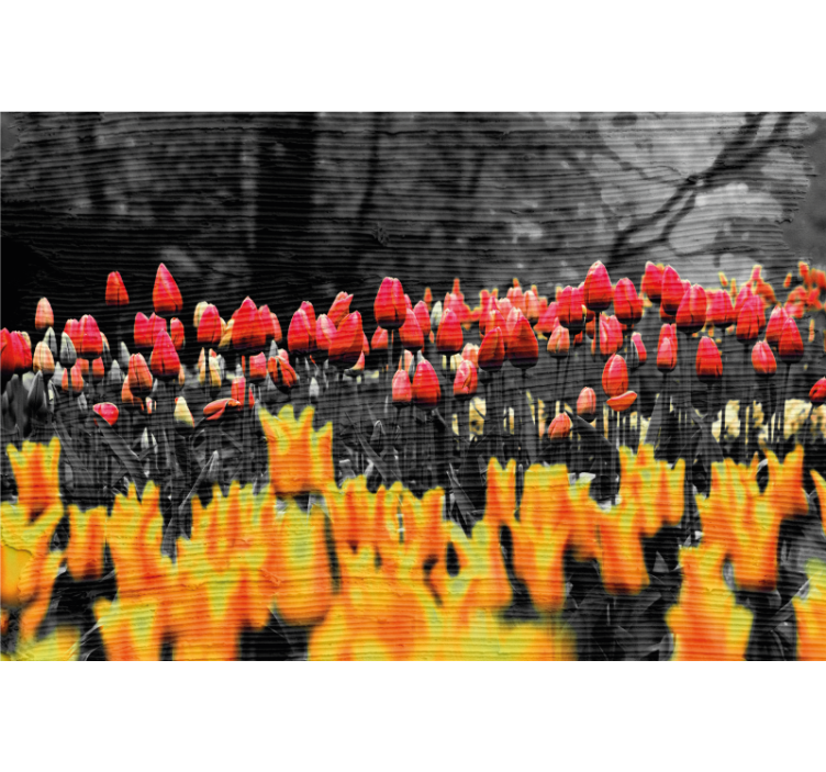 Living room roller blind floral fields design - TenStickers