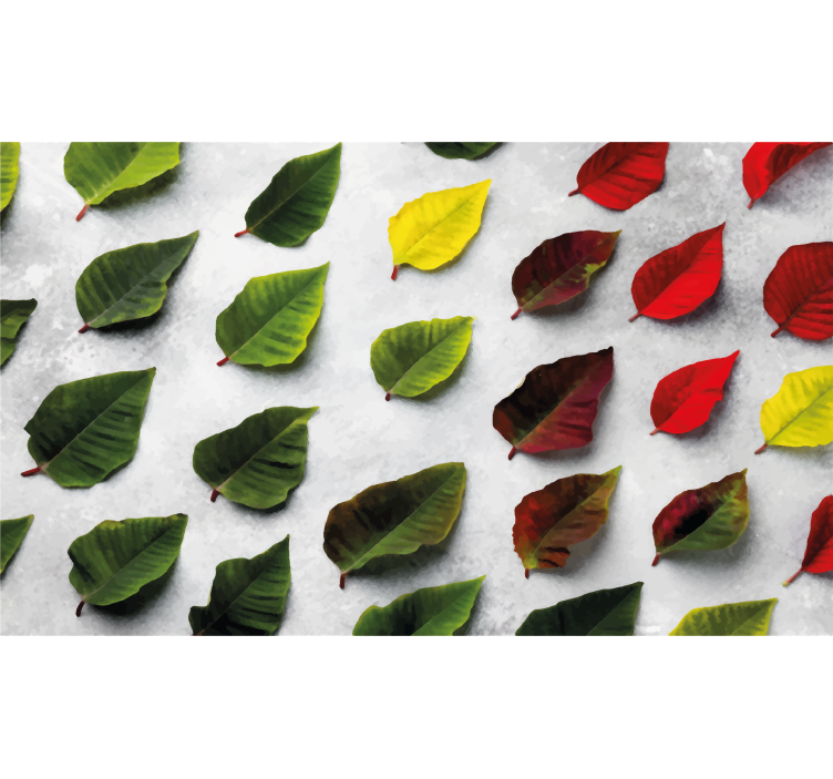 Living room roller blind top view colorful leaves - TenStickers