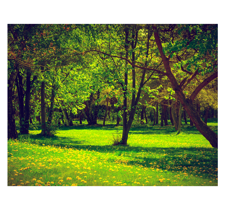 Green roller blind serene forest landscape - TenStickers