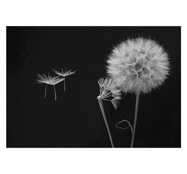 Gray roller blind dandelion seed wall mural - TenStickers