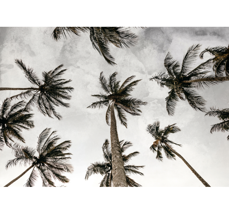 Gray roller blind with palm trees view - TenStickers