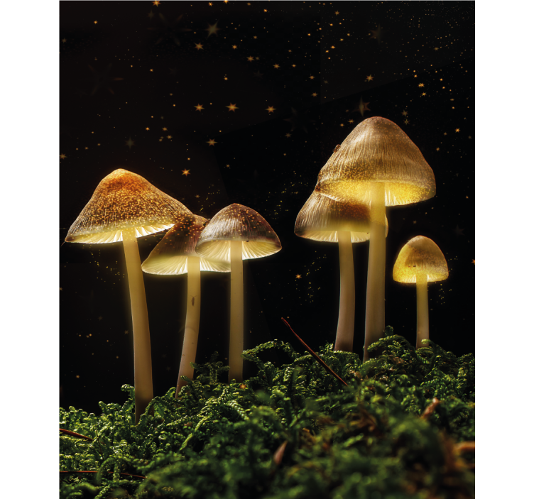 Glowing mushrooms in nature roller blind - TenStickers