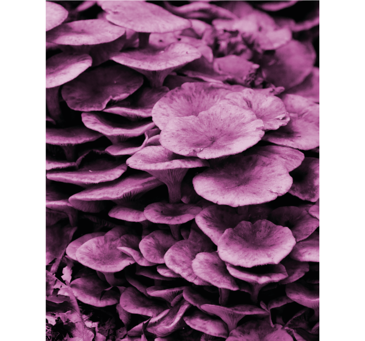 Pink mushrooms gills Blind painting - TenStickers