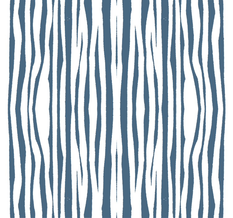 Zebra stripe pattern texture and pattern roller blind - TenStickers