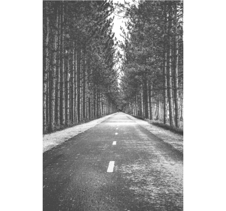 Deep black and white forest roller blind - TenStickers