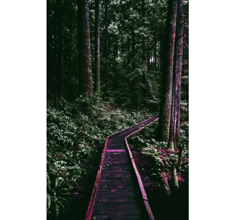 Forest Pathway tree roller blind - TenStickers