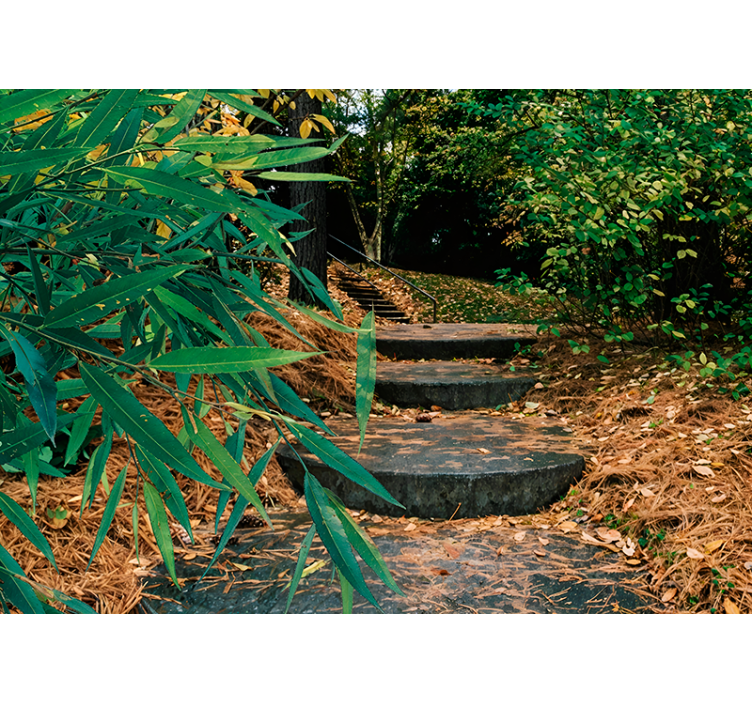 3D forest and small road Original roller blind - TenStickers