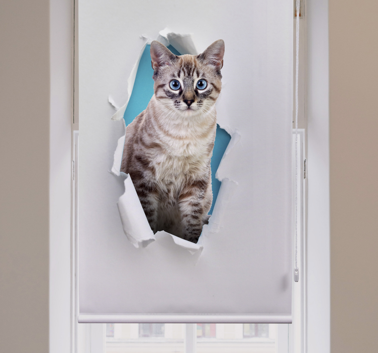 Cat Various animal roller blind - TenStickers