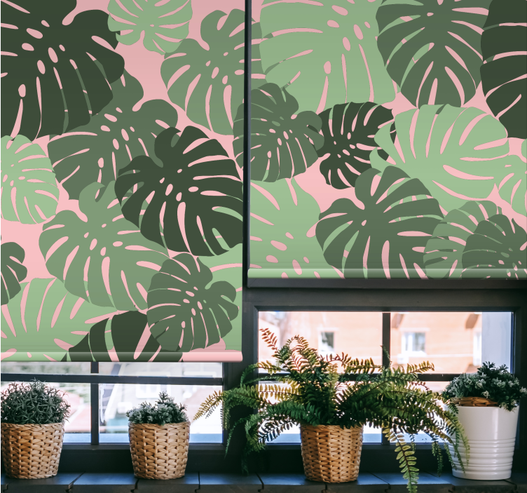 Monstera leaves pink color blind - TenStickers