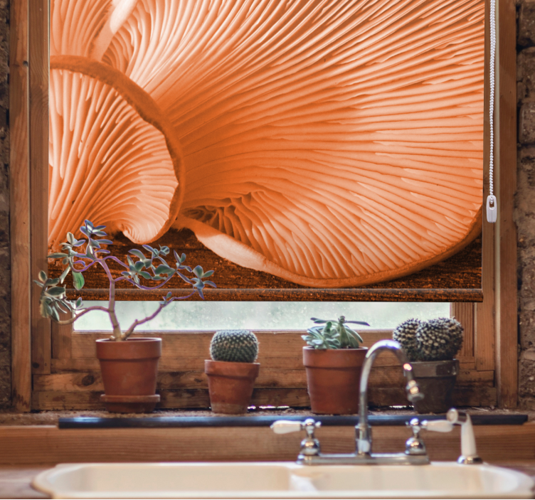 Mushroom Gills Close-Up fruit and vegetable roller blind - TenStickers