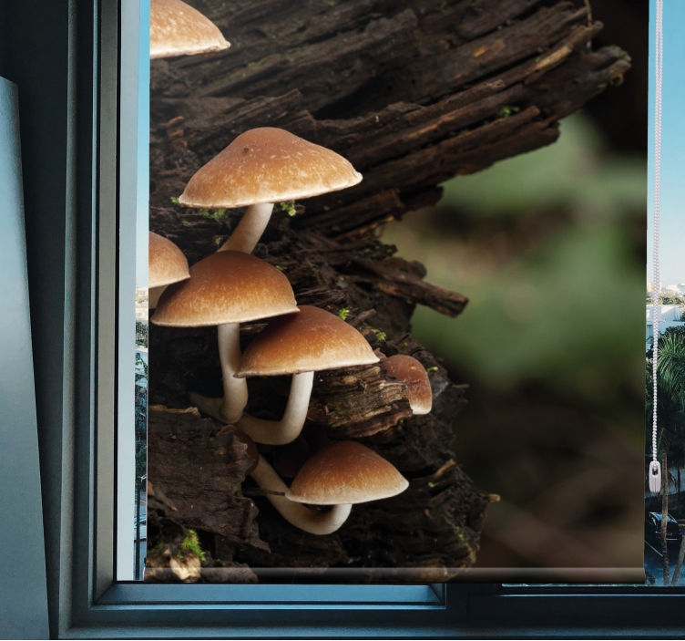 Mushrooms on Wood flowers and plants roller blind - TenStickers