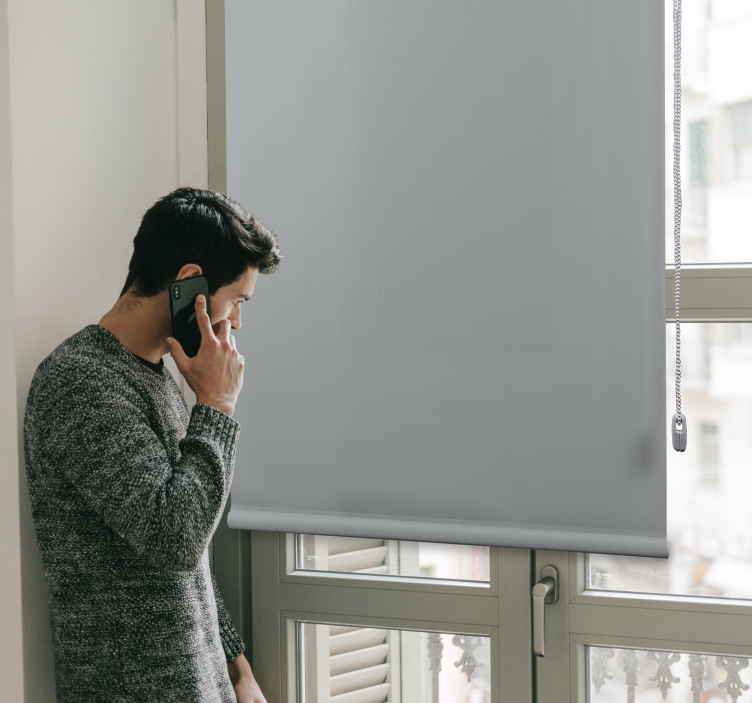 pearl gray color Living room blind - TenStickers