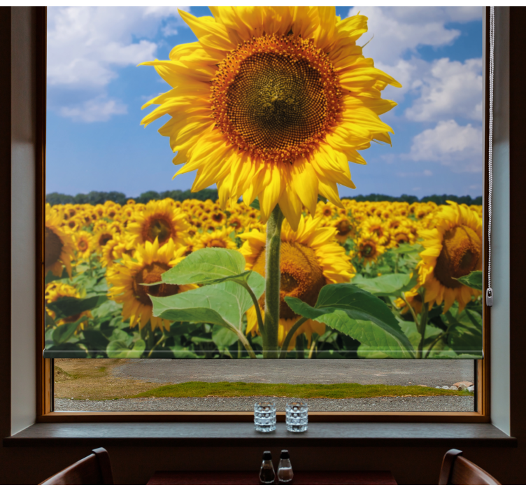 Sunflower Field Scene flowers and plants roller blind - TenStickers