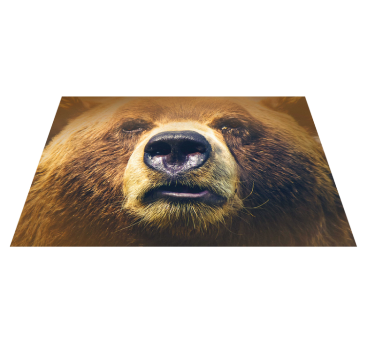 Original placemats bear face close-up - TenStickers