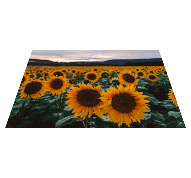 Original placemats sunflower field view - TenStickers