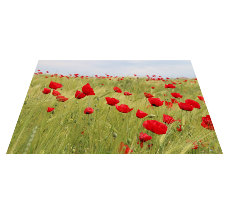 Original placemats poppy field placemats - TenStickers