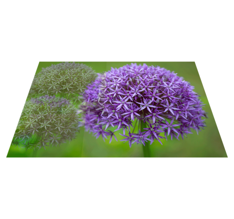 Vibrant purple flowers placemat - TenStickers