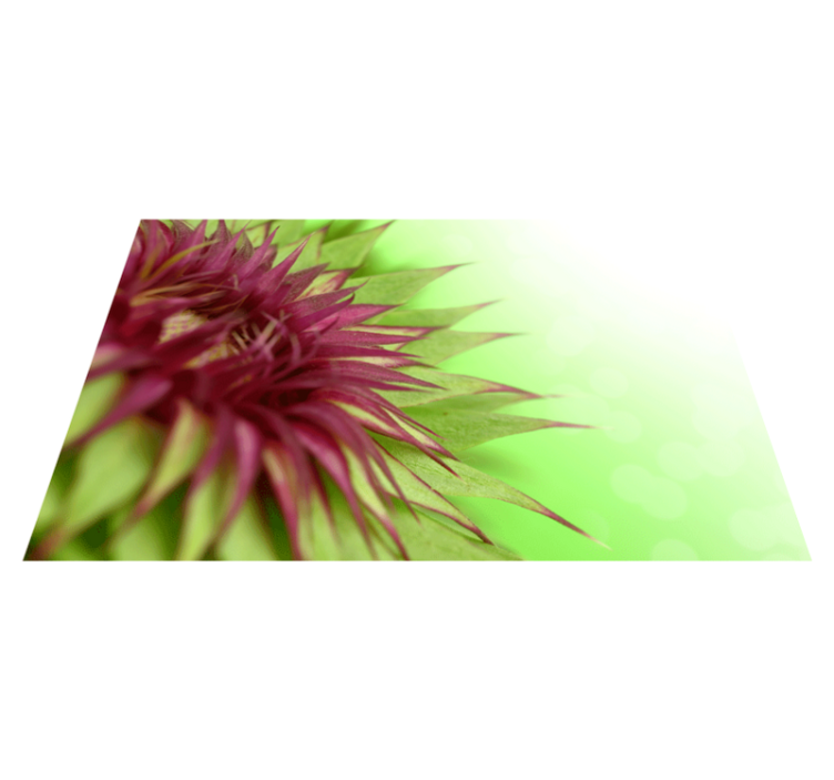 ThistleThistle is a prickly flowering plant in the daisy family.  - TenStickers