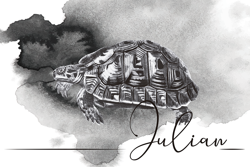 Turtle Illustration with name turtle placemats - TenStickers