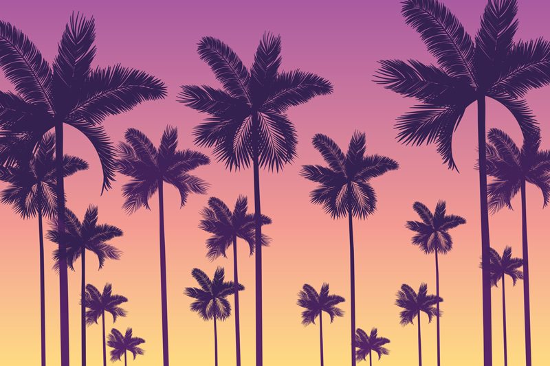 Sunset Palms 70's sun placemats - TenStickers