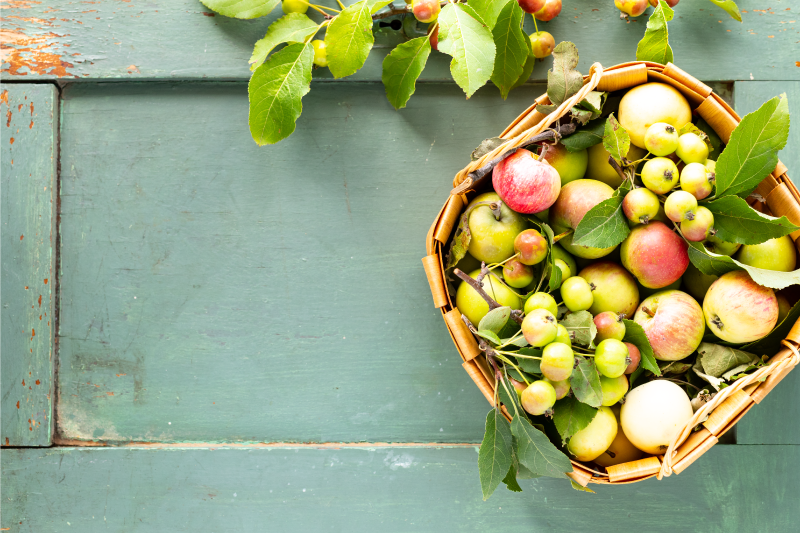 Placemat for home fruit basket display - TenStickers