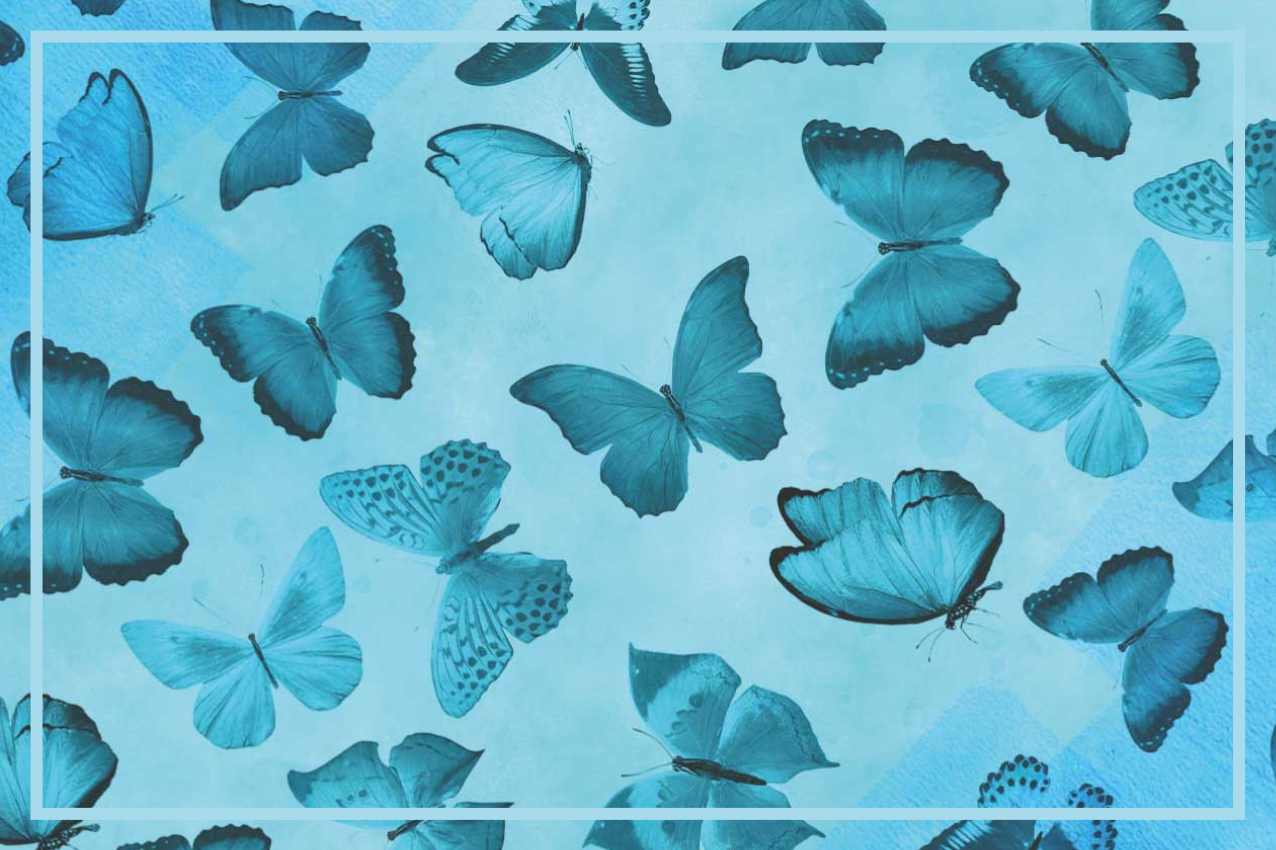 Butterfly themed placemat - TenStickers