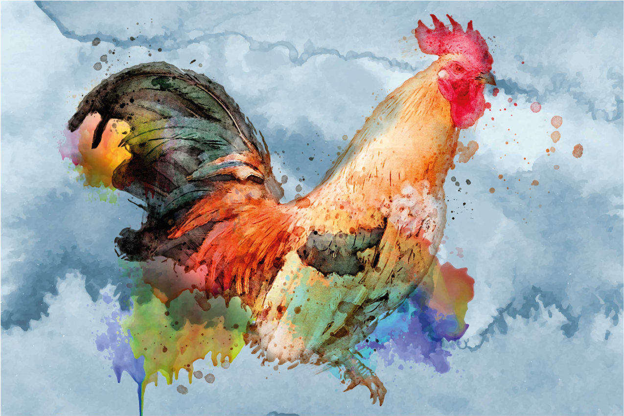 Watercolor painted rooster textured placemats - TenStickers