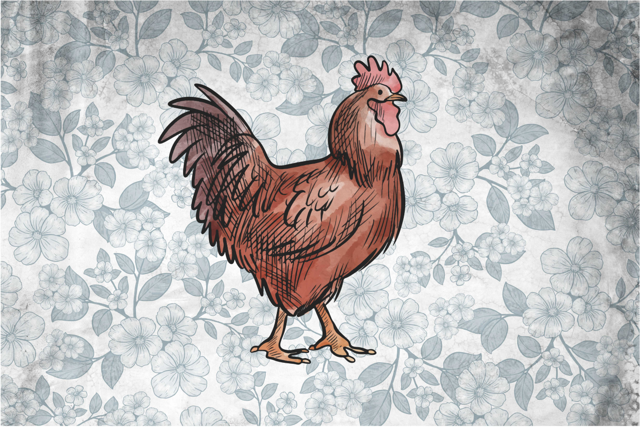 Original placemats rustic chicken design - TenStickers