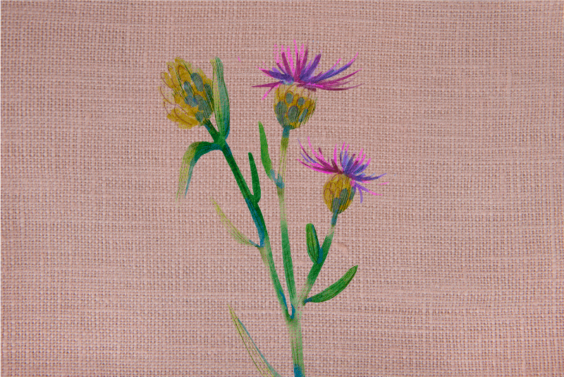 Woven thistle is a type of fabric made from cotton, wool, or synt - TenStickers