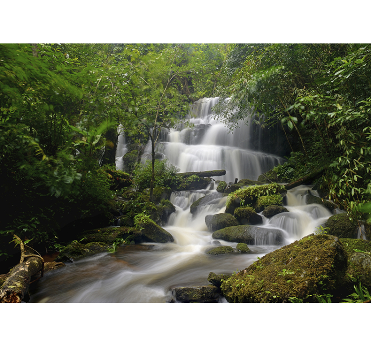 Forest and waterfalls Wall Mural - TenStickers