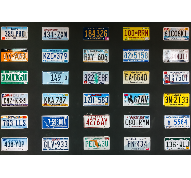 Vehicle mural colorful license plates - TenStickers