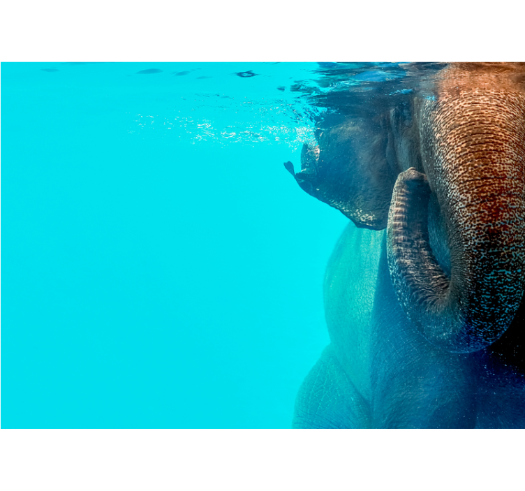 Majestic Underwater Elephant animal wall mural - TenStickers