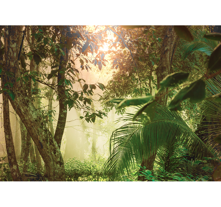 Nature wall mural sunny woodland scene - TenStickers