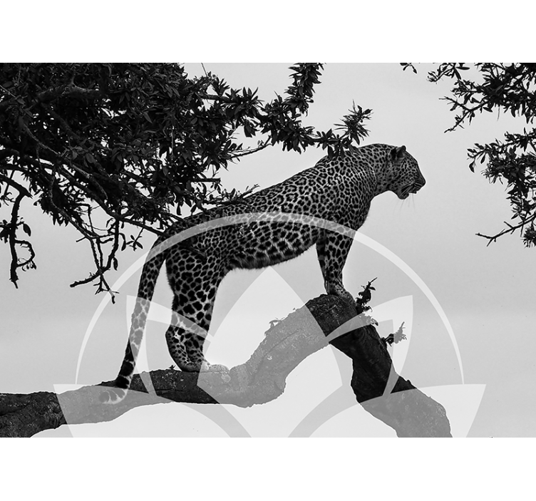Leopard in Tree animal wall mural - TenStickers