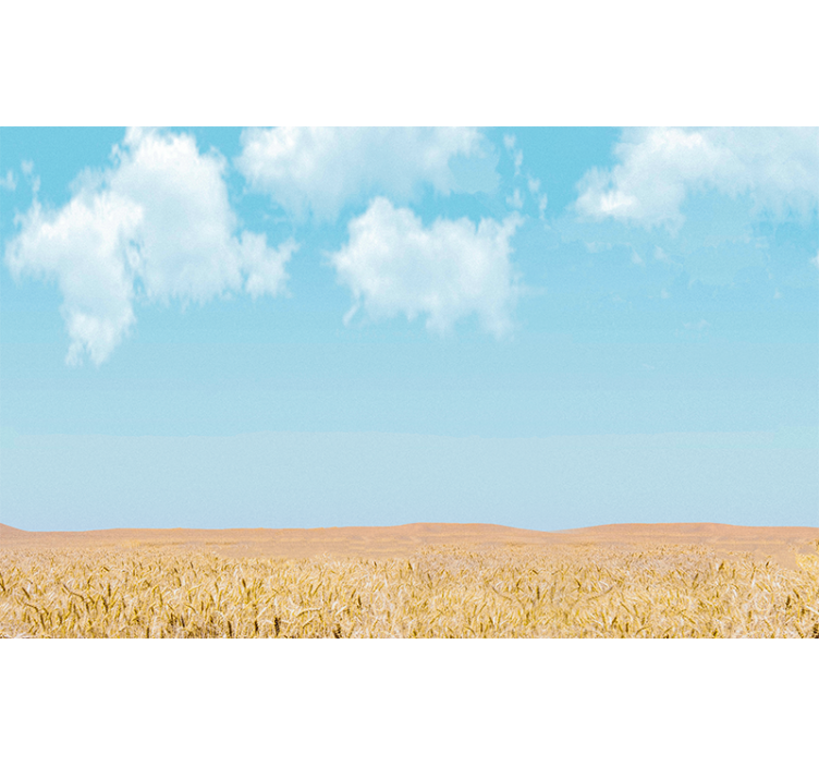 Sky and Wheat landscape mural wallpaper - TenStickers