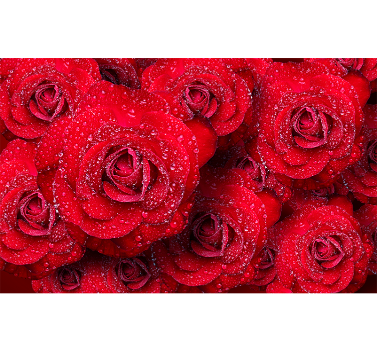 Red Blooming Roses rose mural - TenStickers
