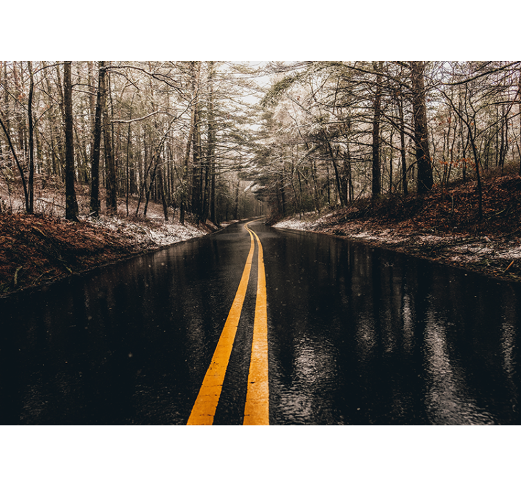 Wet road in the forest wall mural - TenStickers