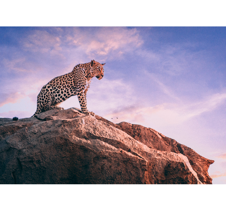 Leopard on Rock animal wall mural - TenStickers