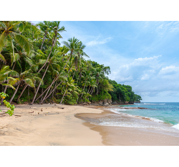 Nature wall mural tropical shore paradise - TenStickers