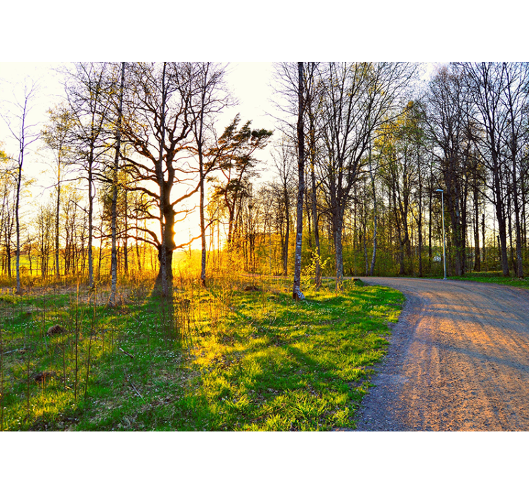 parc green bank nature wall mural - TenStickers