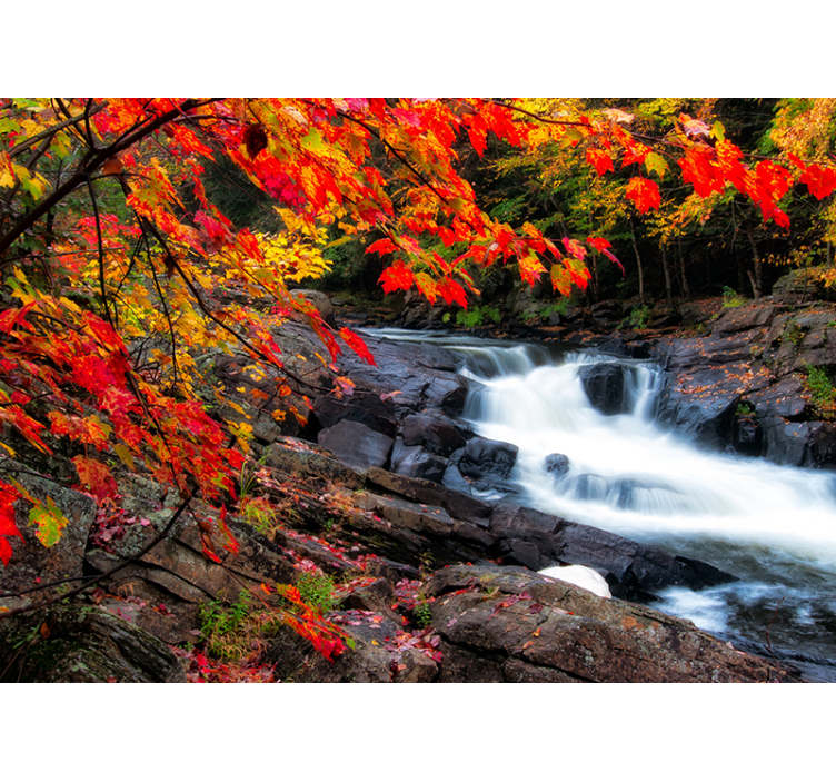 Forest wall mural fall waterfall scene - TenStickers
