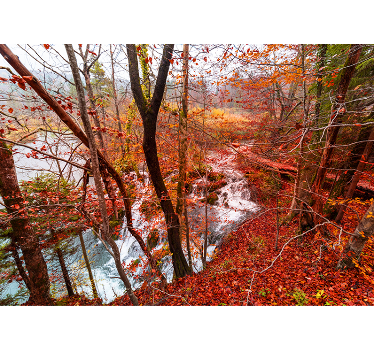 Autumn Forest Scene nature wall mural - TenStickers